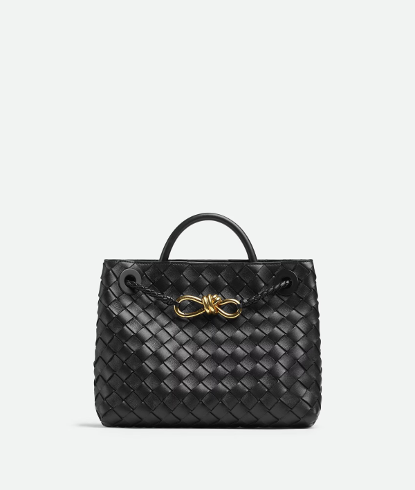 BOTTEGA VENETA Small Andiamo 8